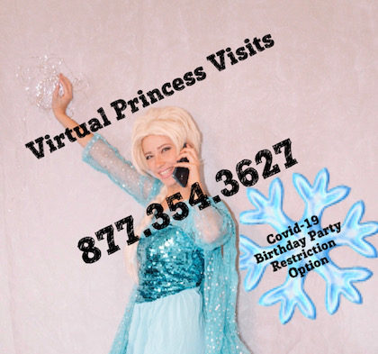 Virtual Princess Parties, ZOOM Princess Calls
